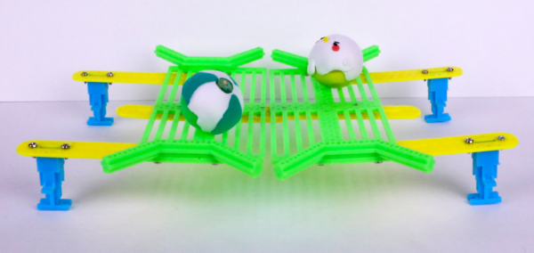Science Series - CM Kingdom Sumo Ring