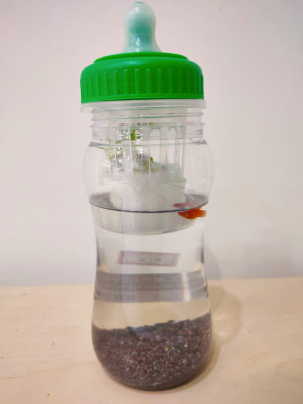 Science Series - Aquaponics