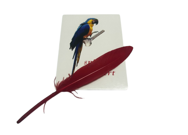Magic prop series - feather card